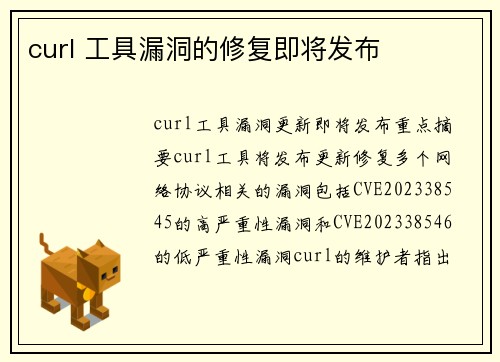 curl 工具漏洞的修复即将发布 