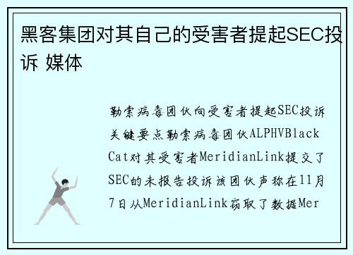 黑客集团对其自己的受害者提起SEC投诉 媒体